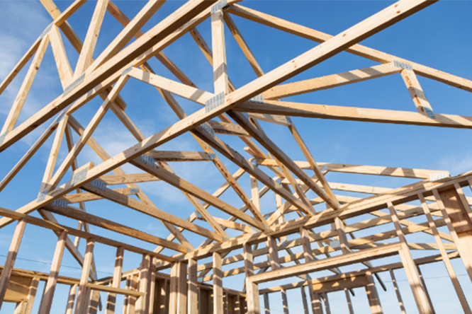Builders Risk - Body Image Builders Risk - Body Image