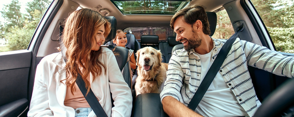 auto_banner_spring_flathead